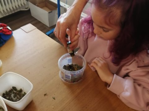 Výroba v soli v muzeu 06.11.2025