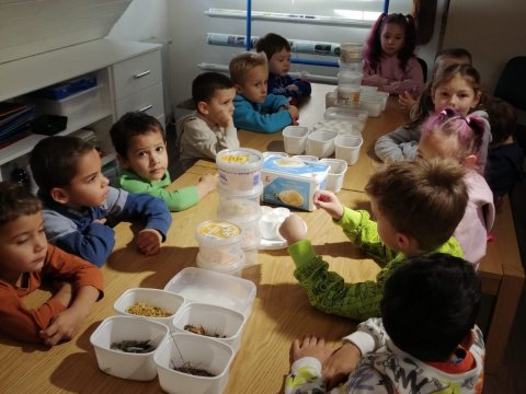 Výroba v soli v muzeu 06.11.2025