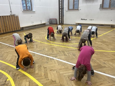 Tělocvična 11.11.2025