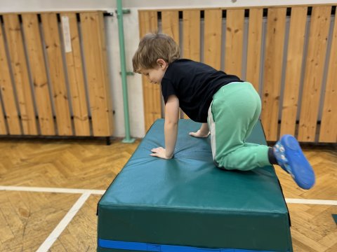 Tělocvična 11.11.2025