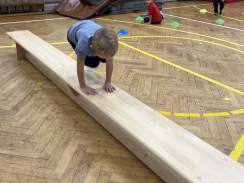 Tělocvična 11.11.2025