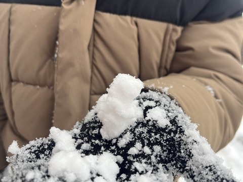 Letošní první sníh 24.11.2025