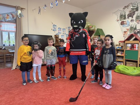 Ukázka hokeje 13.01.2026