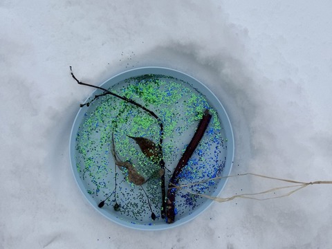 Ledové ozdoby 13.01.2026