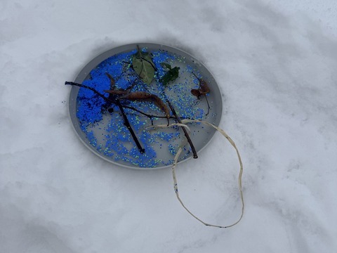 Ledové ozdoby 13.01.2026