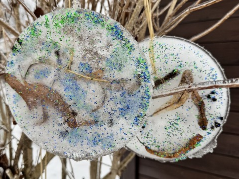 Ledové ozdoby 13.01.2026