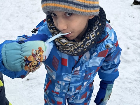 Výroba zmrzliny ve sněhu 30.01.2026