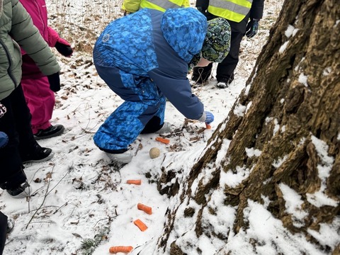 Projektový den - Zvířátka v zimě 03.02.2026
