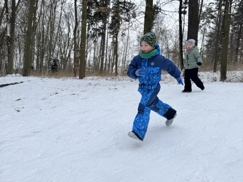Projektový den - Zvířátka v zimě 03.02.2026