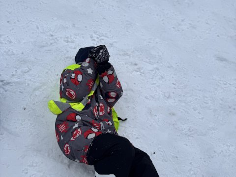 Projektový den - Zvířátka v zimě 03.02.2026