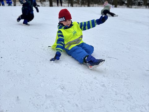 Projektový den - Zvířátka v zimě 03.02.2026