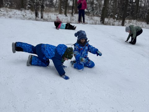 Projektový den - Zvířátka v zimě 03.02.2026