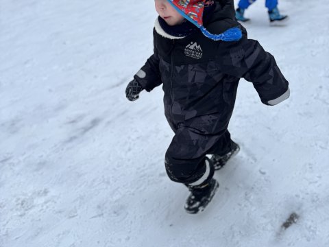 Projektový den - Zvířátka v zimě 03.02.2026