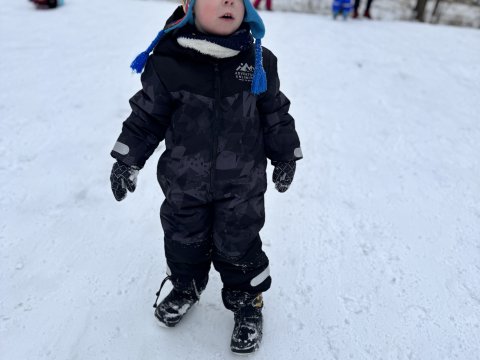 Projektový den - Zvířátka v zimě 03.02.2026