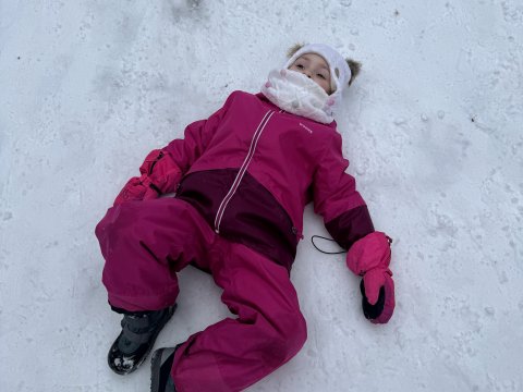 Projektový den - Zvířátka v zimě 03.02.2026